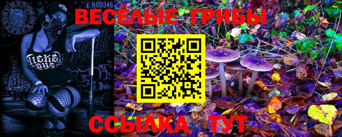 Псилоцибиновые грибы Cubensis Ахтубинск